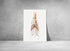 large vintage squid print wall art